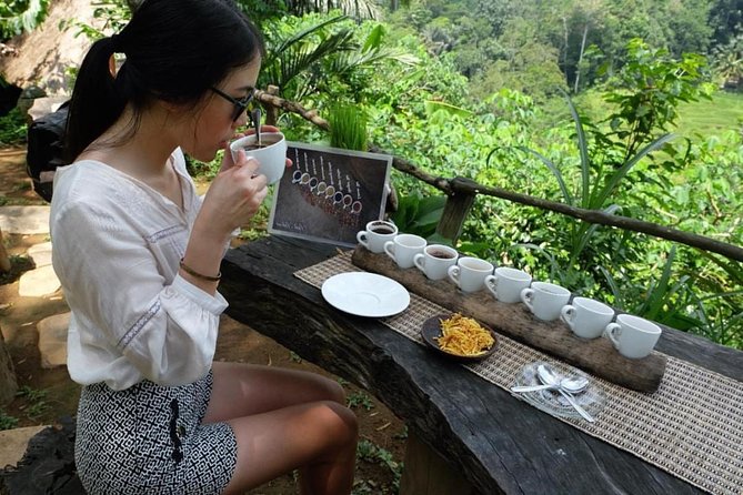Ubud Tour with Swing, Temple, Monkey Forest, and Waterfall - Four Craft Villages Add Context, But Also Shopping