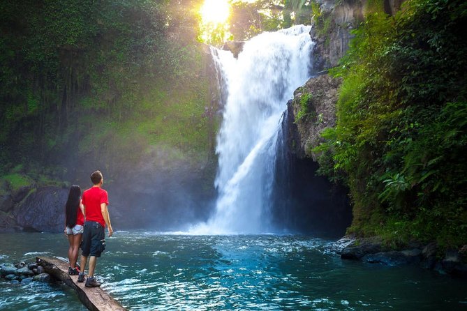 Ubud Tour with Swing, Temple, Monkey Forest, and Waterfall - Coffee and Tea: A Useful Stop, With One Caveat