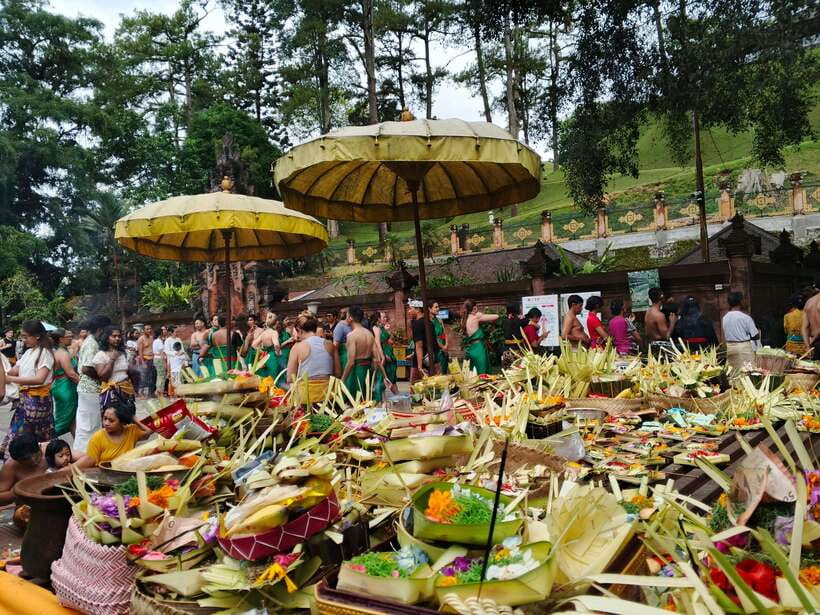 Ubud: Water Temple, Rice Terrace, and Waterfalls Tour - Who should book this tour