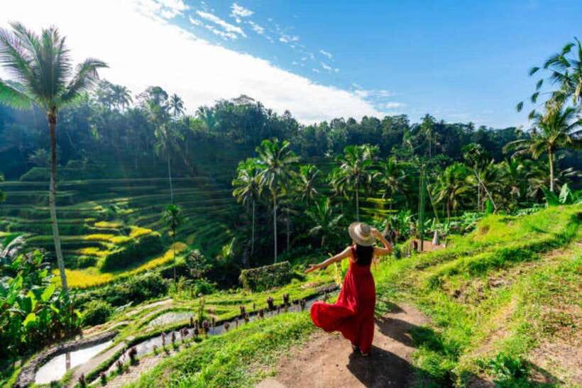 Ubud: Water Temple, Rice Terrace, and Waterfalls Tour - Tirta Empul and the meaning of purification