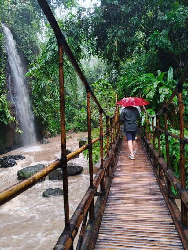 Ubud: Water Temple, Rice Terrace, and Waterfalls Tour - The driver can shape the whole day