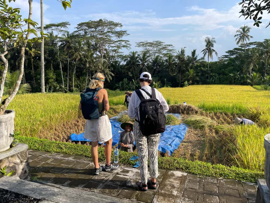 Ubud: Waterfalls, Water Temple & Rice Terraces Private Tour - Kanto Lampo: the best place for playful photos