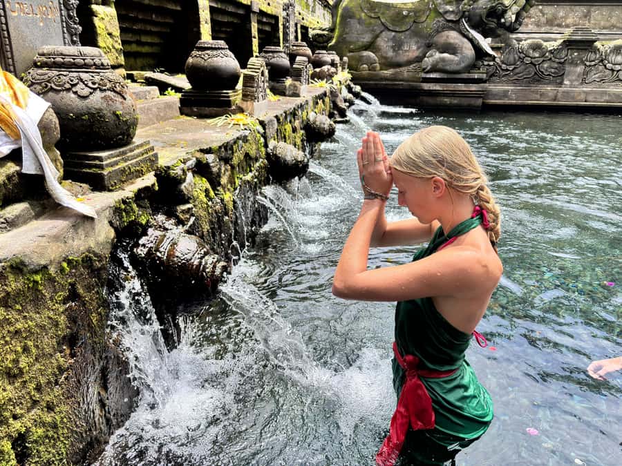 Ubud: Waterfalls, Water Temple & Rice Terraces Private Tour - What the $29 price really buys you