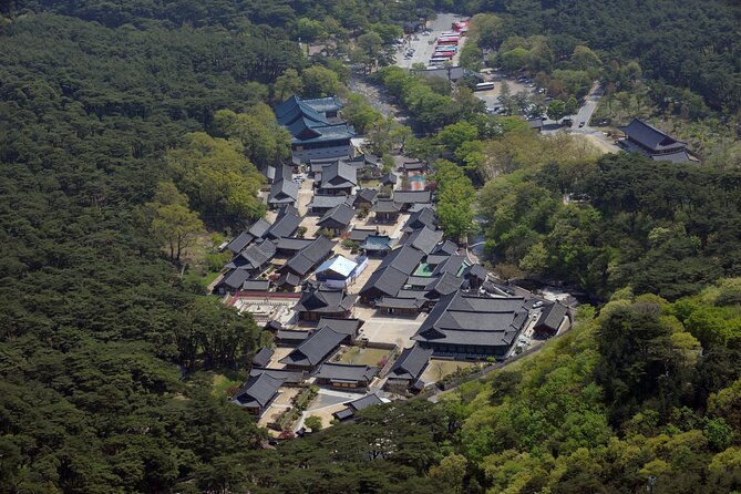UNESCO Tongdosa Temple + Gourmet Eonyang Style Bulgogi Lunch - How The Private Vehicle Changes The Day