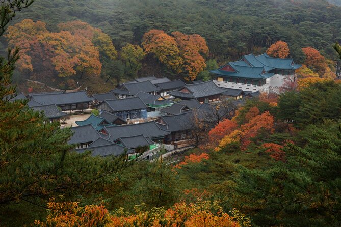 UNESCO Tongdosa Temple + Gourmet Eonyang Style Bulgogi Lunch - Who Will Get The Most From This Tour