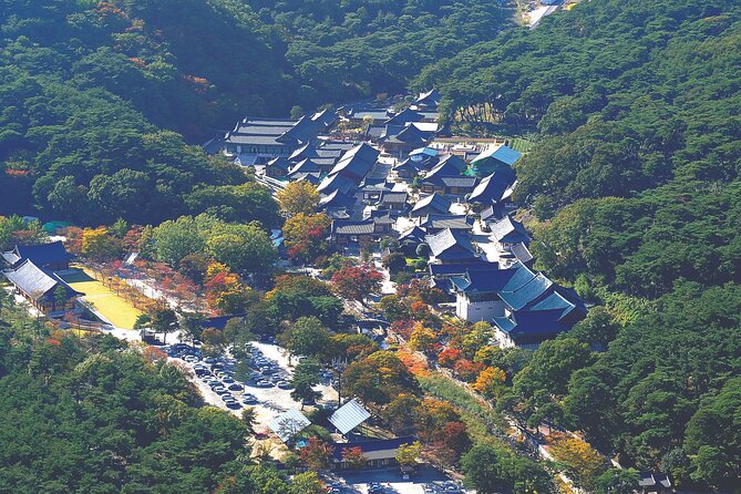 UNESCO Tongdosa Temple + Gourmet Eonyang Style Bulgogi Lunch - Price, Timing, And Practical Details