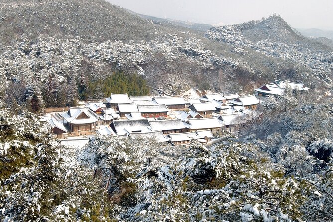 UNESCO Tongdosa Temple + Gourmet Eonyang Style Bulgogi Lunch - Should You Book The Tongdosa And Bulgogi Experience?