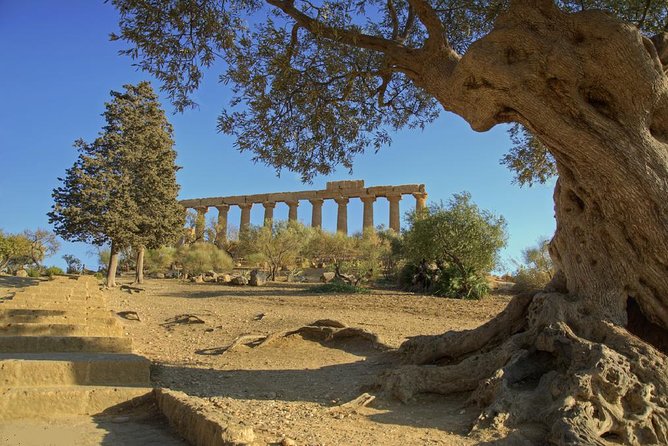 Valley of the Temples and Villa Romana del Casale Day Trip from Taormina - Entrance tickets and group timing at Agrigento