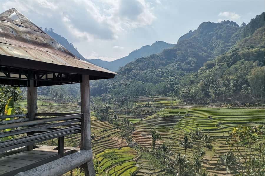 Yogyakarta: Selogriyo Temple, Rice Terraces & Waterfall Tour - Why this Yogyakarta day trip feels different