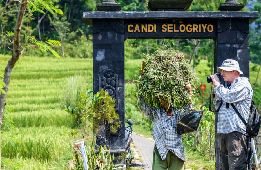 Yogyakarta: Selogriyo Temple Tour & Java Rice Terrace Trek - A coffee, tea, or snack stop on the way back